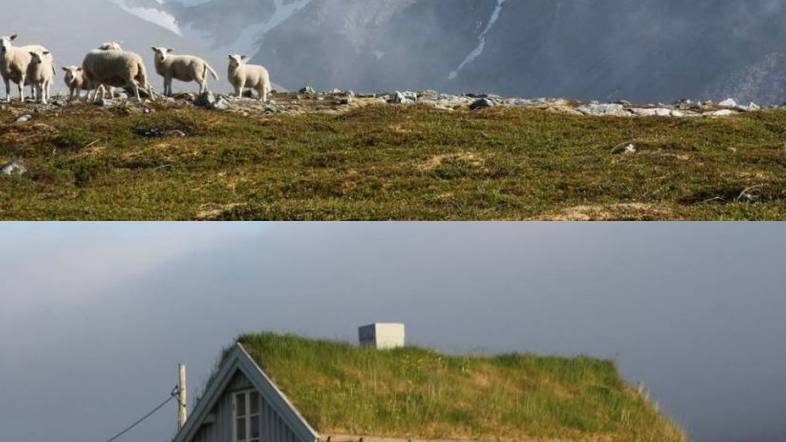 Kajakk-tur til Vannøya