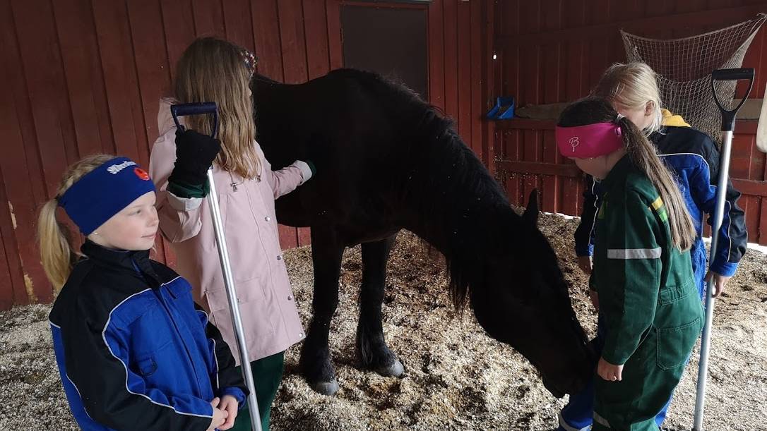 Stallklubb nivå 1 (torsdag 16.30) Høst 26