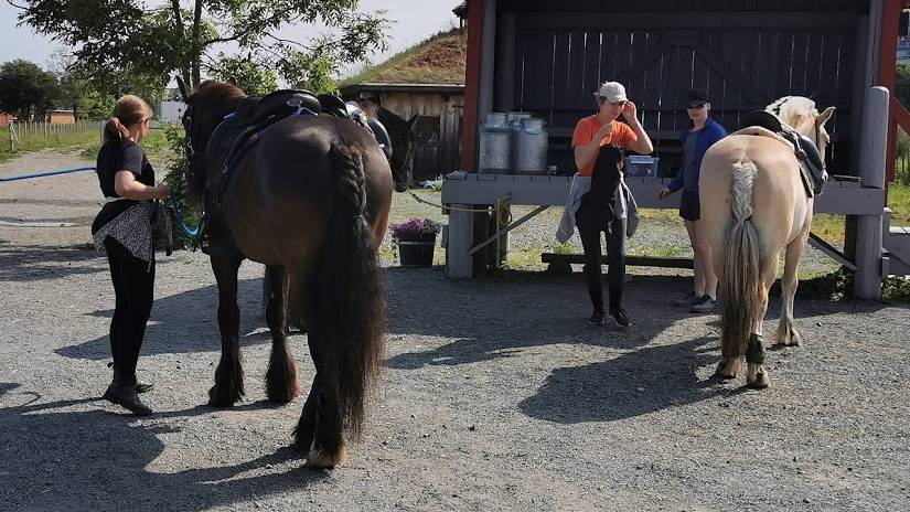 Stallklubb nivå 1 (mandag 16.30) Høst 26