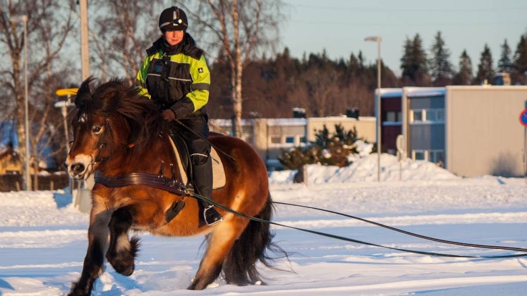 Stallklubb nivå 2 (tirsdag 18.30) Høst 26