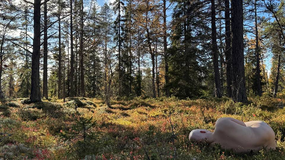 «HAN?» av Audun Krüger
