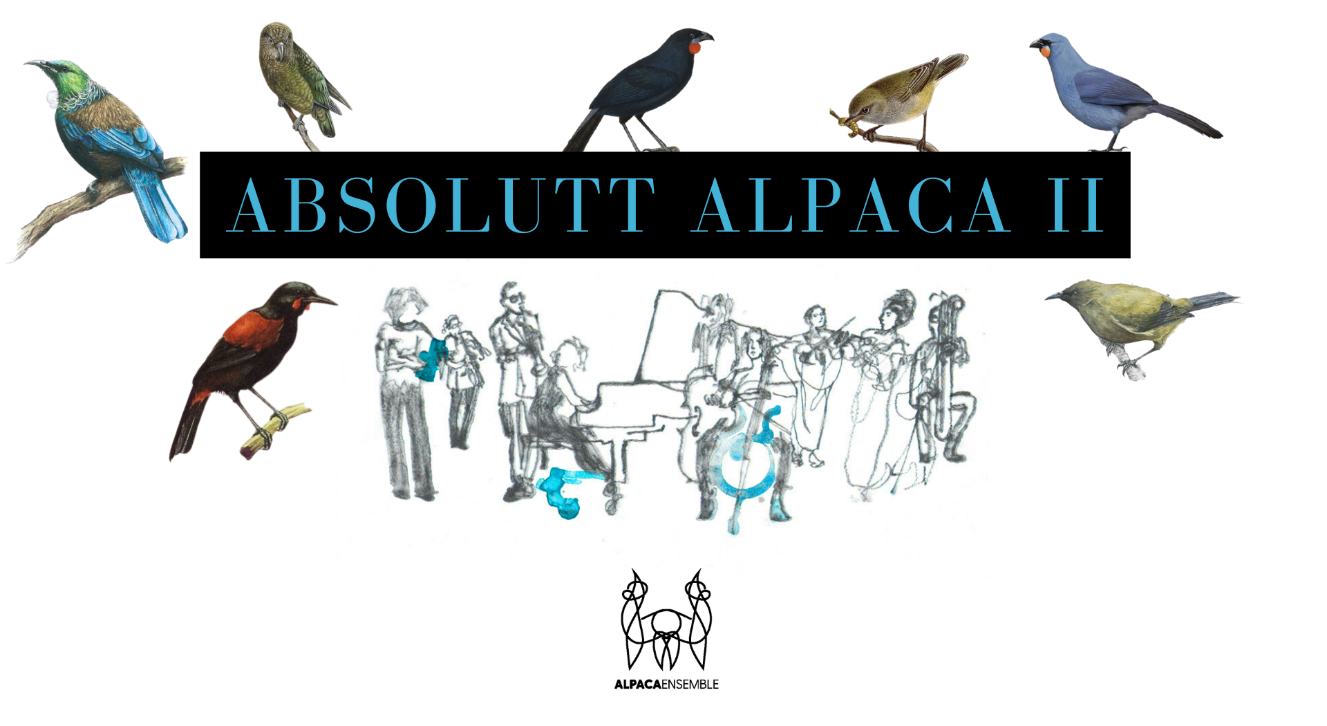 Bilde for arrangement Absolutt Alpaca II