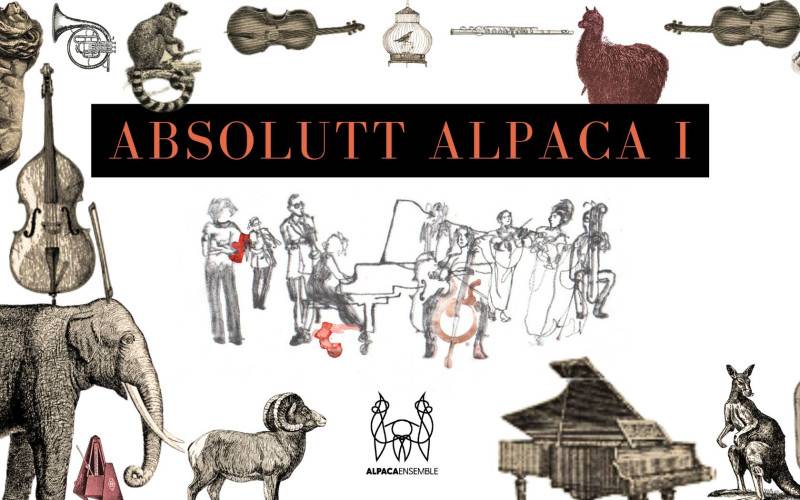 Bilde for arrangement Absolutt Alpaca I
