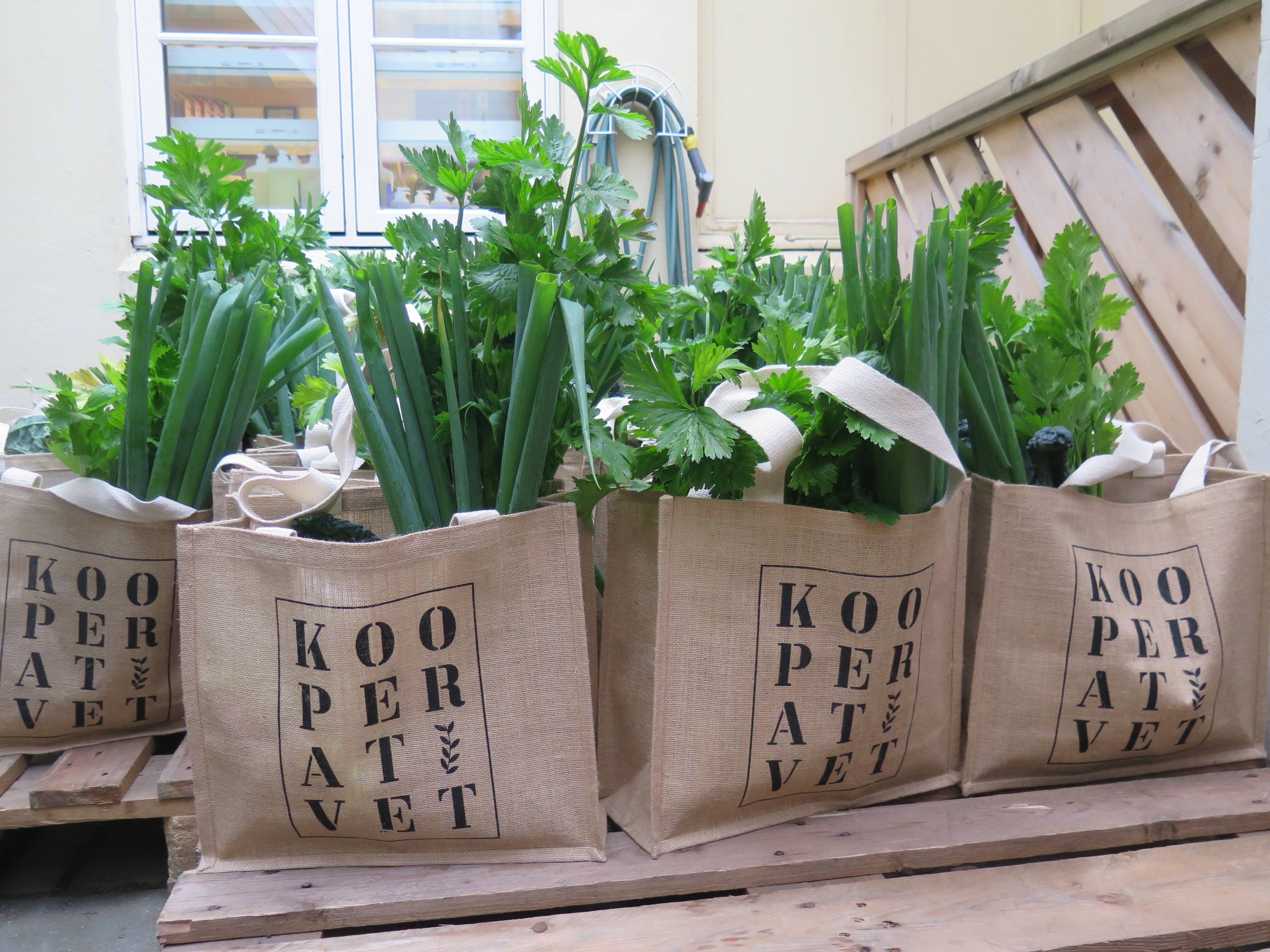 Bilde for arrangement Årsmøte Trondheim Kooperativ 2026