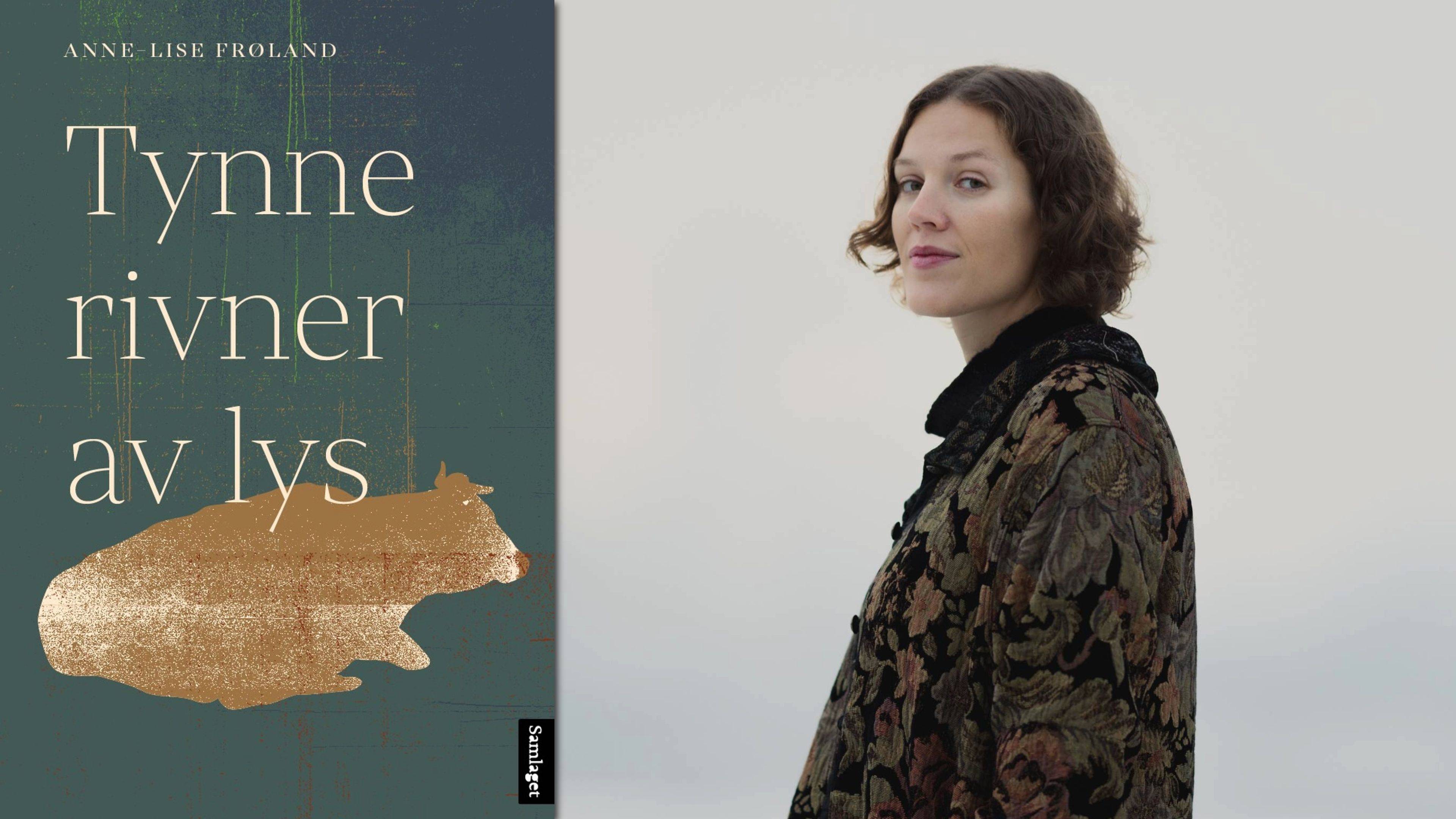 Anne-Lise Frøland: Tynne rivner av lys