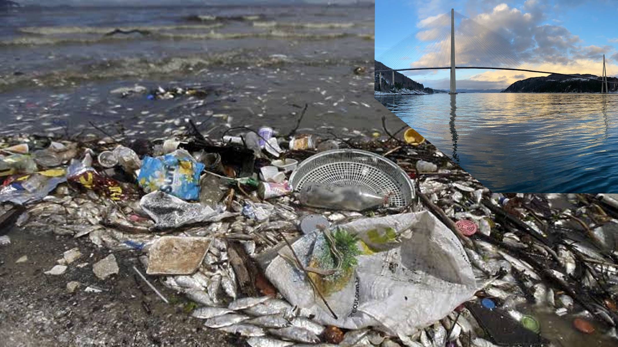 Kan vi hindre at Trondheimsfjorden blir til Oslofjorden?