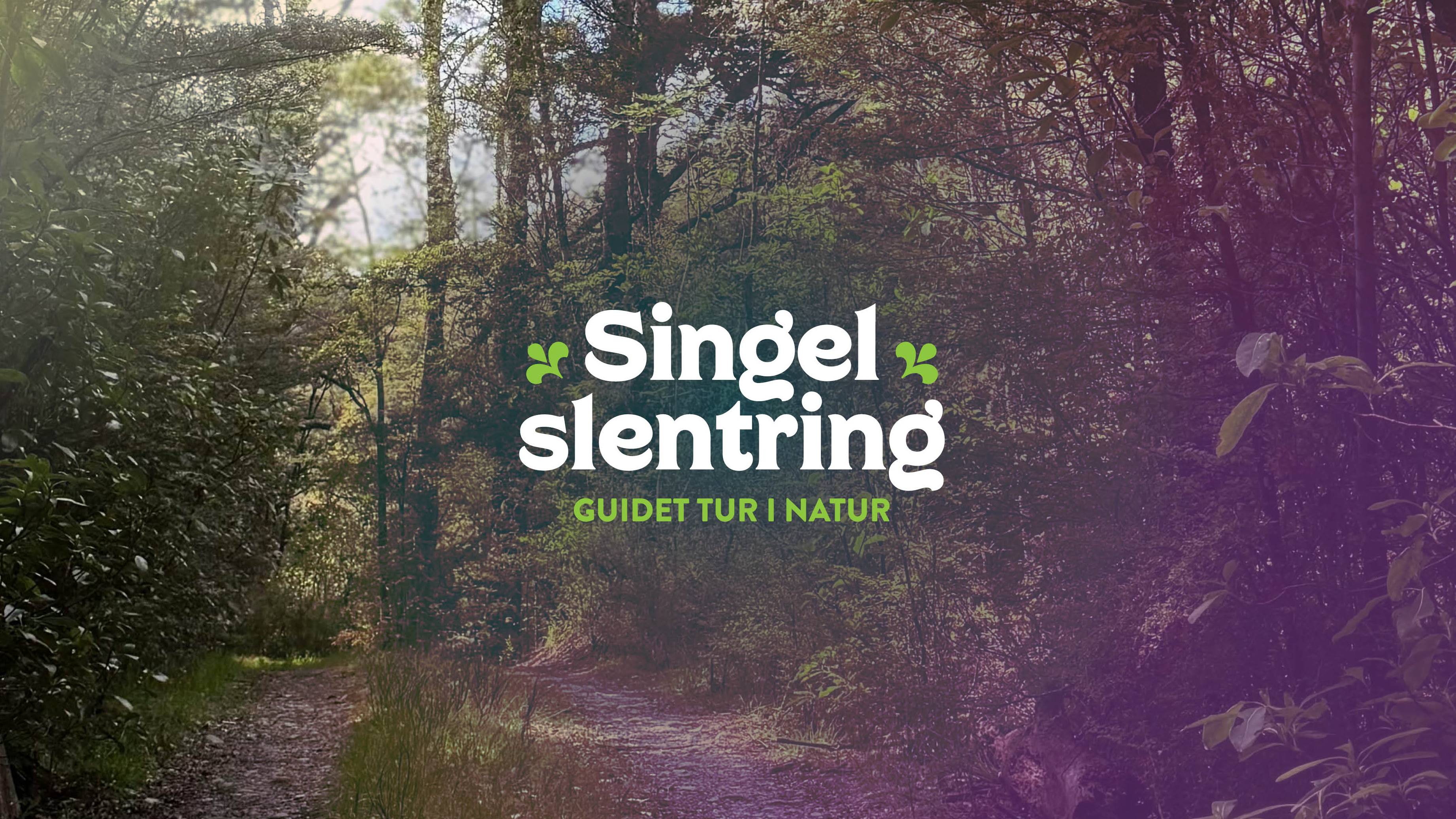 Singel Slentring - Guidet tur i natur