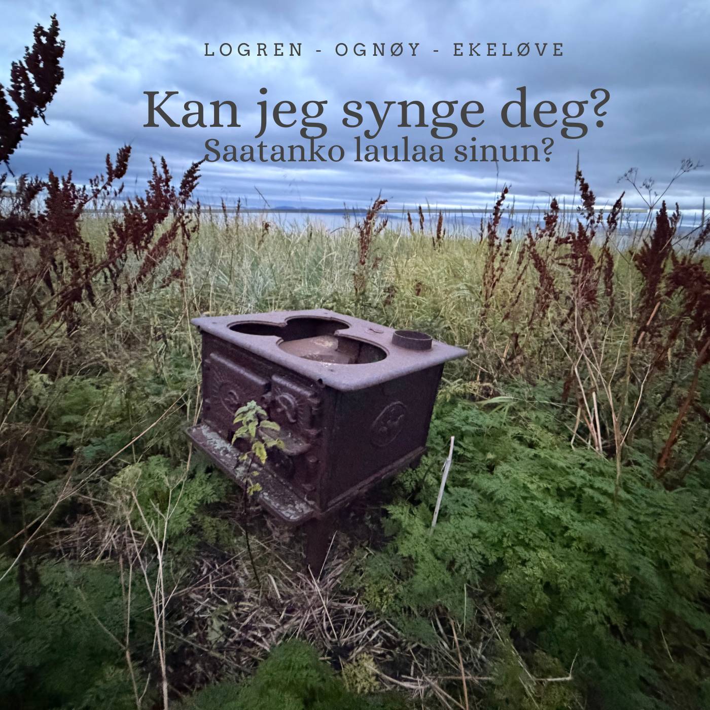 Kan jeg synge deg? // Saatanko laulaa sinut?