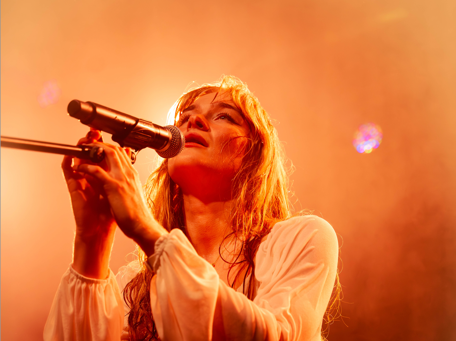 Bilde for arrangement Synne Sørgjerd på Antikvariatet