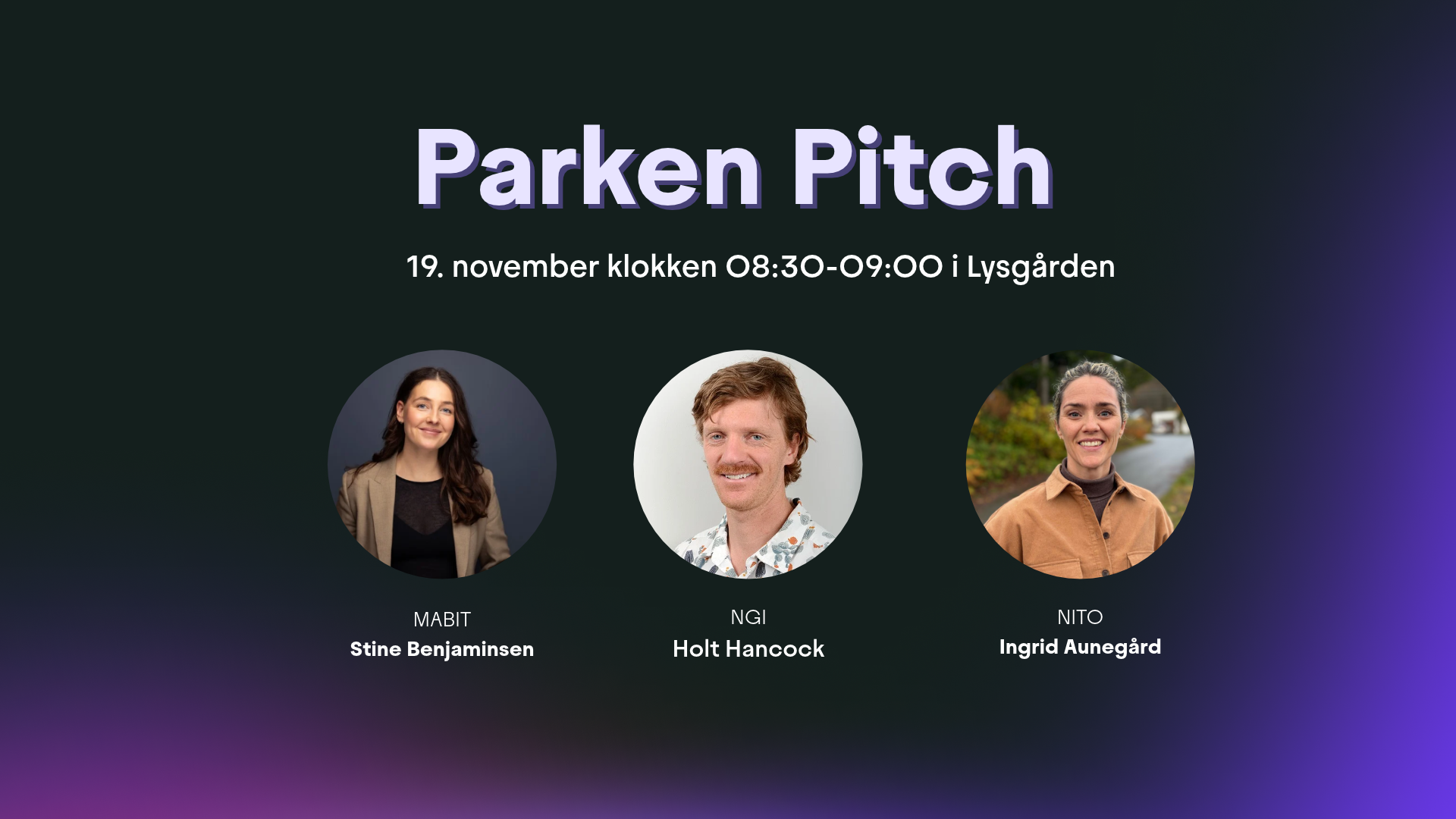 Parken Pitch 