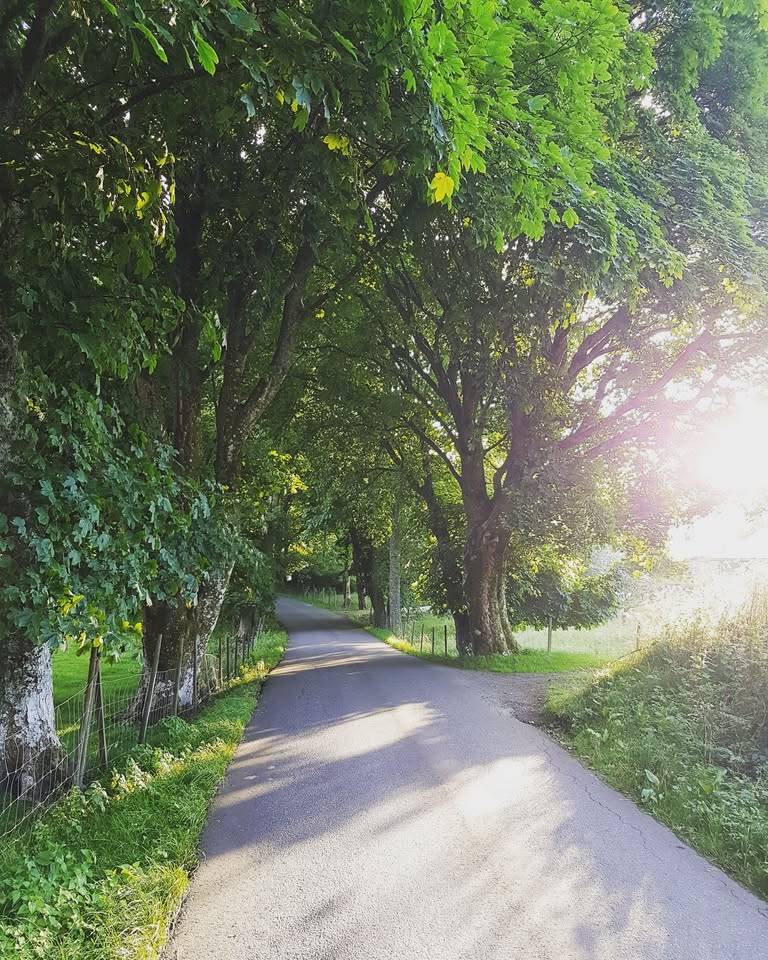 Vegen Heim - Bergen