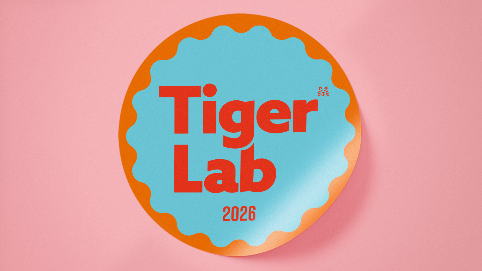 TigerLab #3 UNGDOM